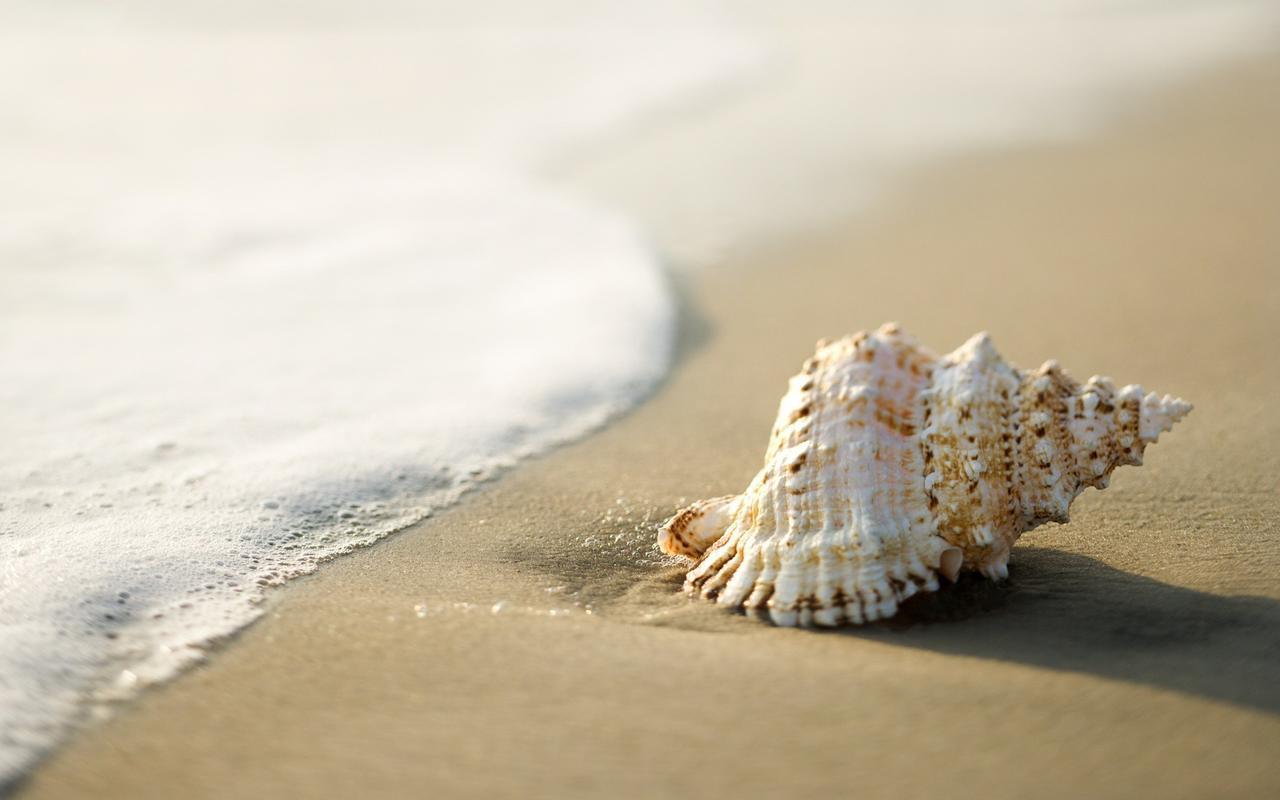 White Shell Beach House カンヌール エクステリア 写真